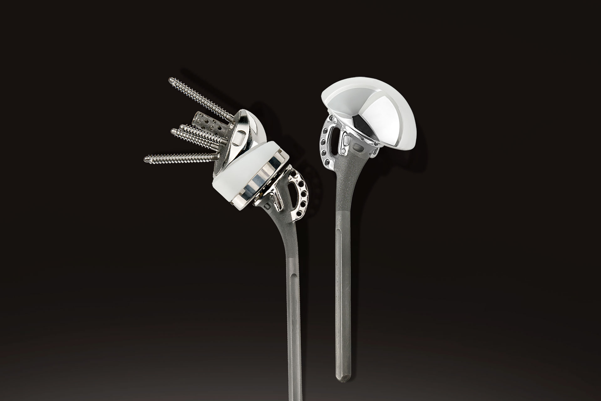 Exactech Shoulder Equinoxe Fracture System