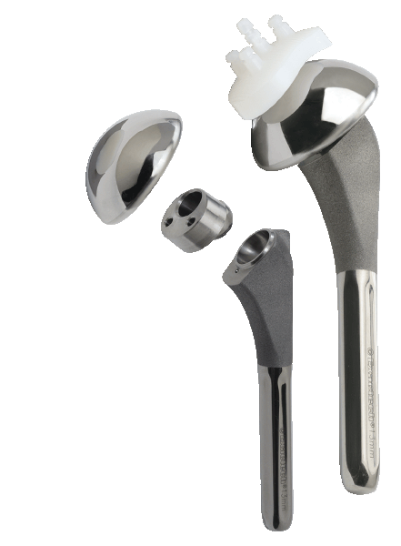 Exactech Shoulder Primary Humeral Head